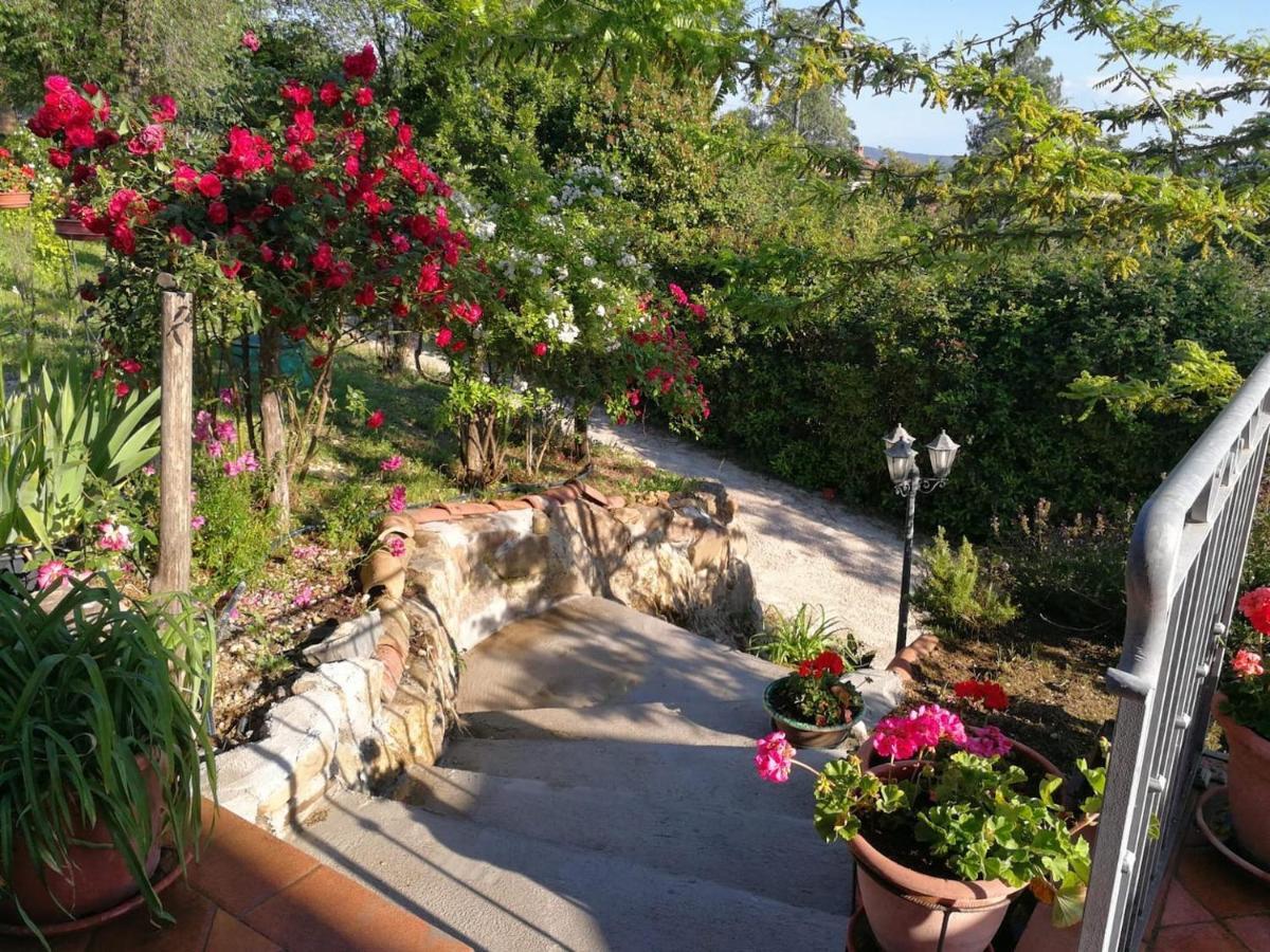 La Rosa Dei Venti Villa Monterotondo  Ngoại thất bức ảnh