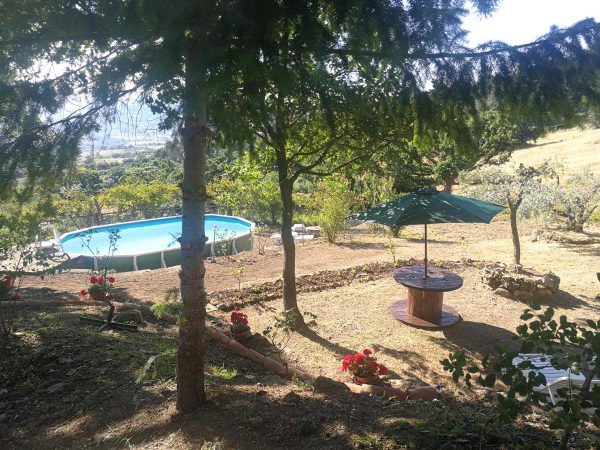 La Rosa Dei Venti Villa Monterotondo  Ngoại thất bức ảnh